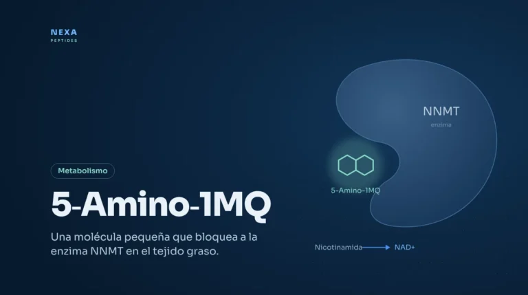 Portada de 5-Amino-1MQ: molécula que bloquea la enzima NNMT – Nexa Peptides
