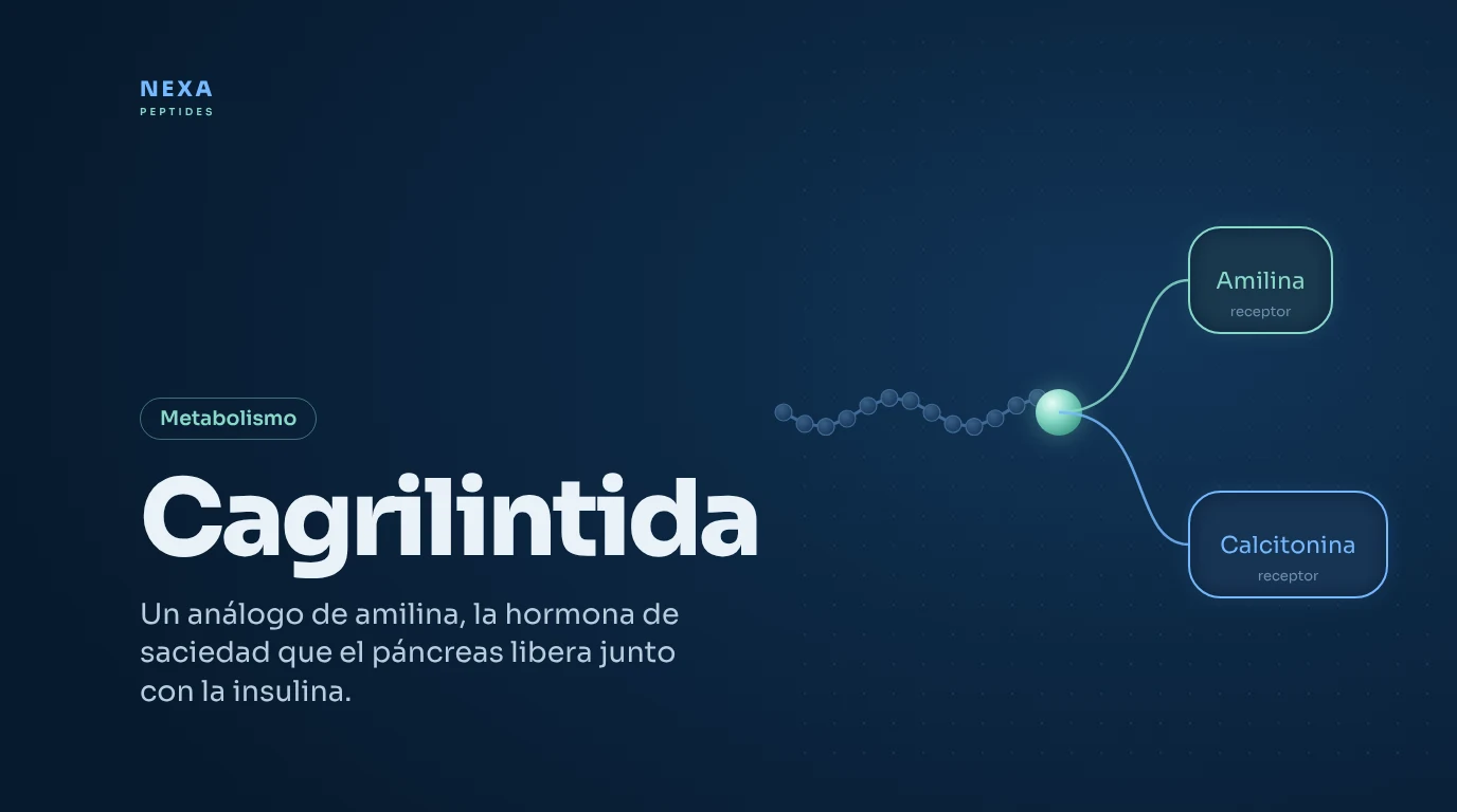 Portada de Cagrilintida: análogo de amilina que activa los receptores de amilina y calcitonina – Nexa Peptides