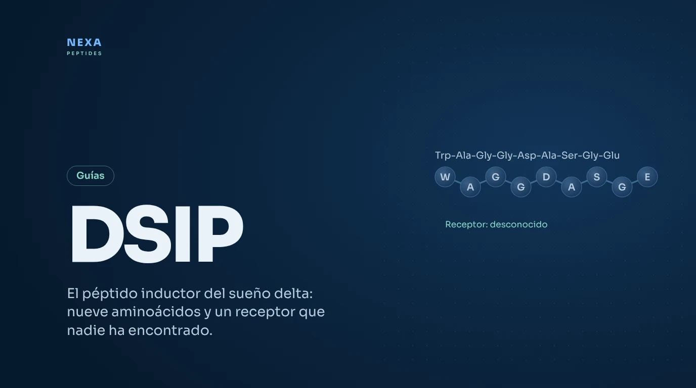 Portada de DSIP: secuencia de nueve aminoácidos del péptido inductor del sueño delta – Nexa Peptides