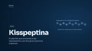 Portada de Kisspeptina: secuencia del fragmento activo kisspeptina-10 – Nexa Peptides