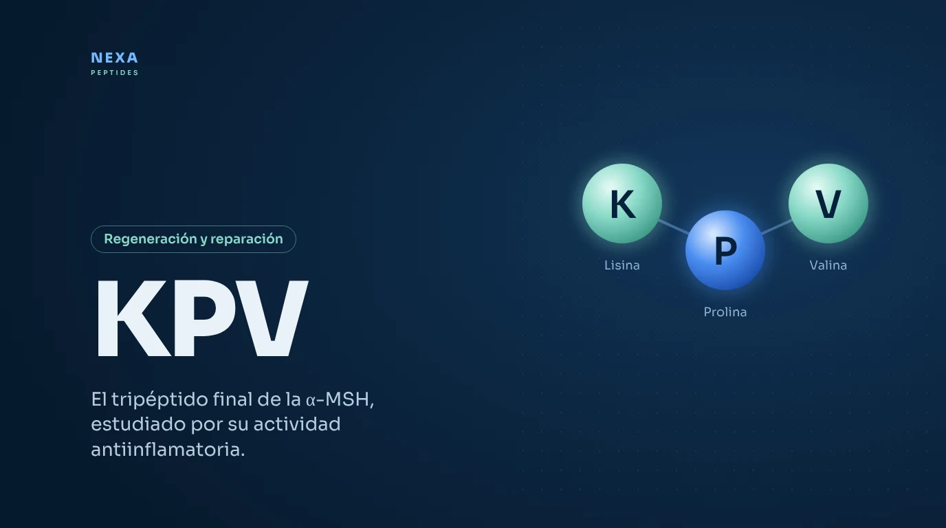 Portada de KPV: tripéptido de lisina, prolina y valina – Nexa Peptides