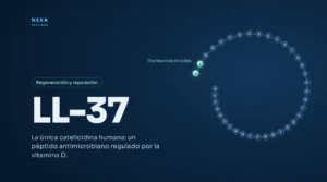 Portada de LL-37: secuencia de 37 aminoácidos de la catelicidina humana – Nexa Peptides