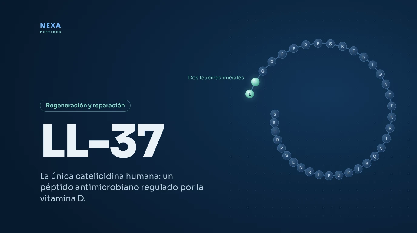 Portada de LL-37: secuencia de 37 aminoácidos de la catelicidina humana – Nexa Peptides
