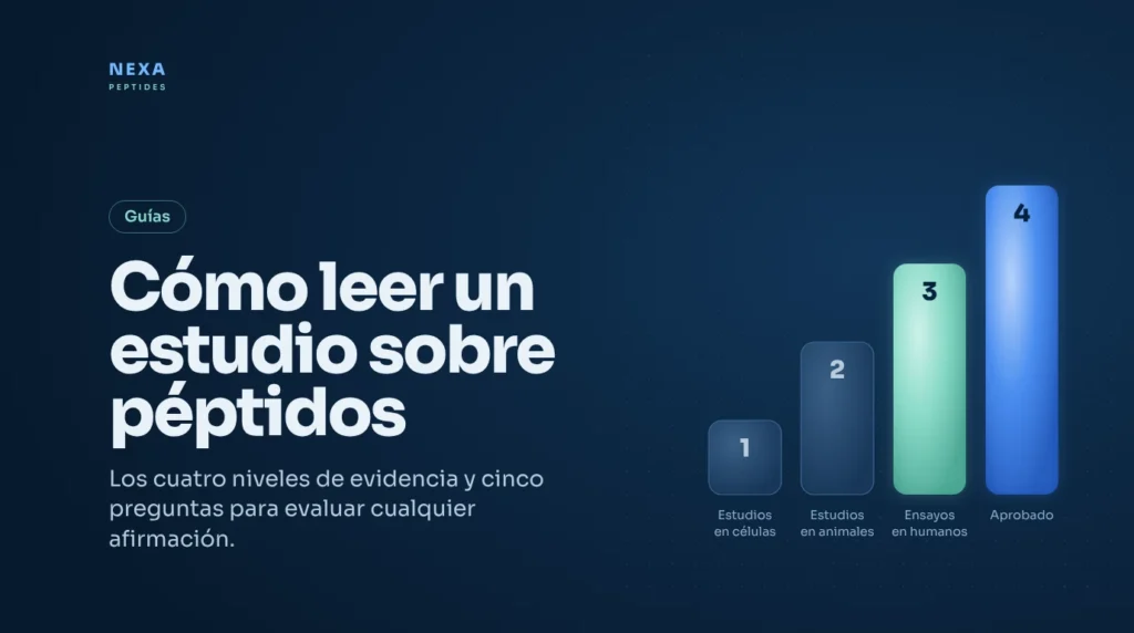 Portada de la guía para leer estudios sobre péptidos: cuatro niveles de evidencia – Nexa Peptides