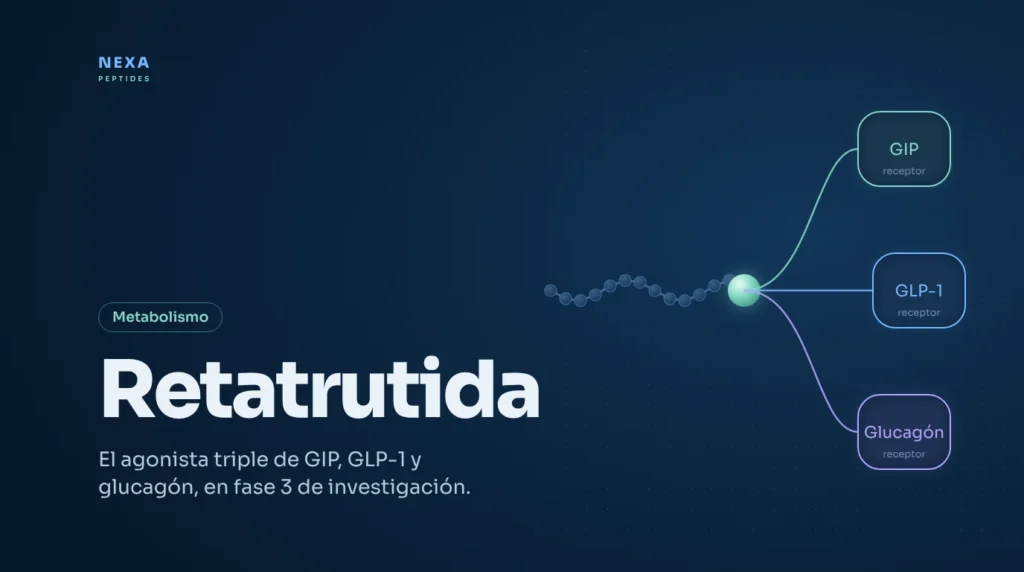 Portada de Retatrutida: agonista triple de los receptores GIP, GLP-1 y glucagón – Nexa Peptides