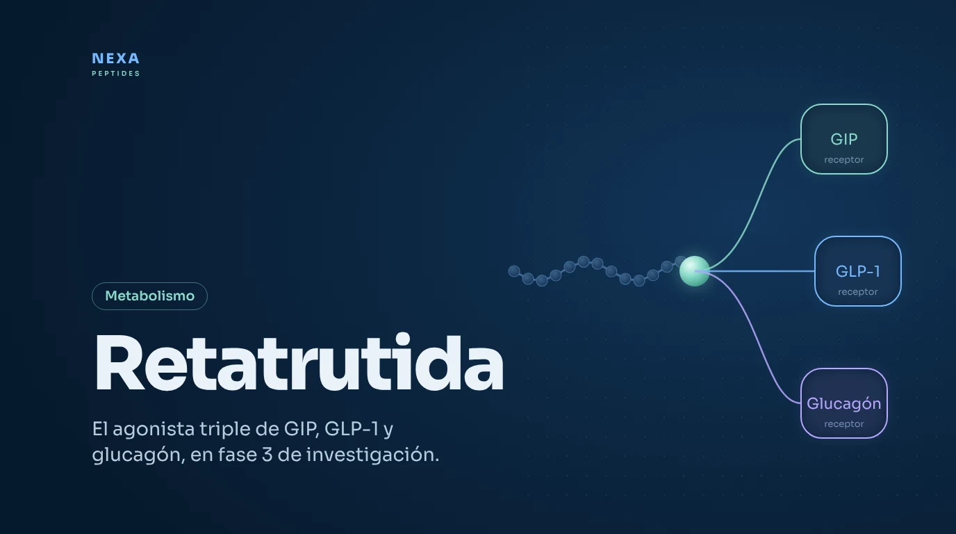 Portada de Retatrutida: agonista triple de los receptores GIP, GLP-1 y glucagón – Nexa Peptides