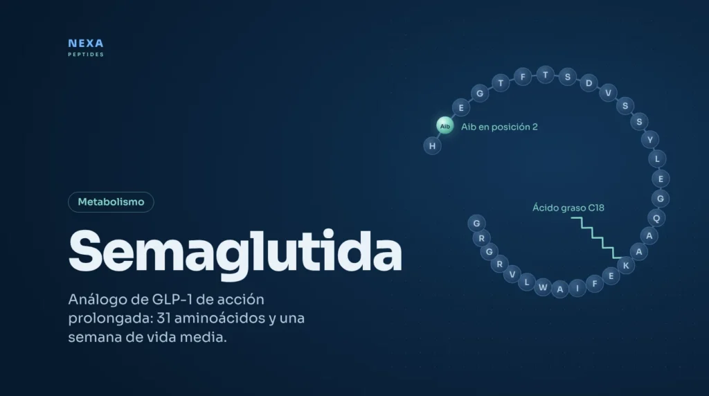 Portada de Semaglutida: secuencia de 31 aminoácidos con Aib y ácido graso C18 – Nexa Peptides