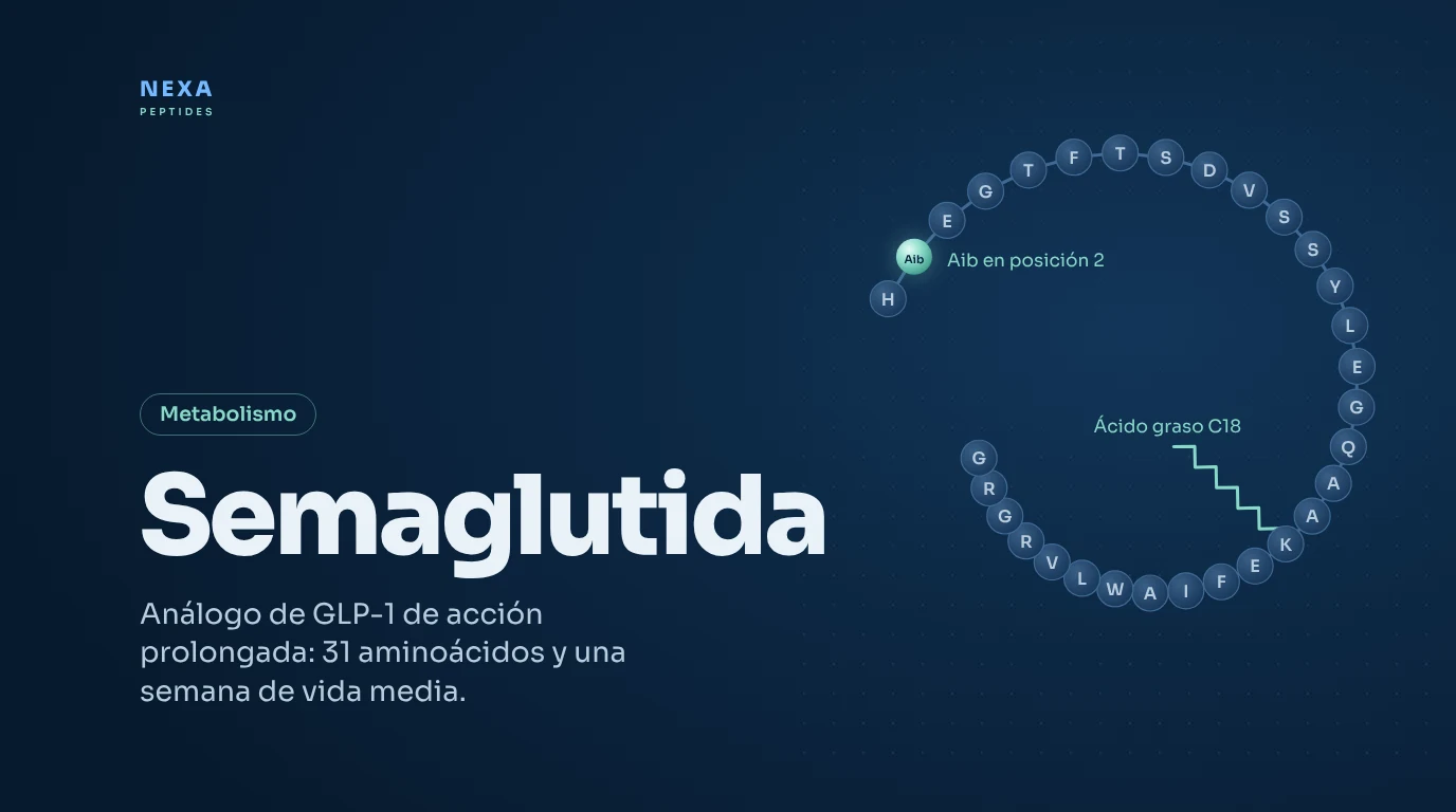 Portada de Semaglutida: secuencia de 31 aminoácidos con Aib y ácido graso C18 – Nexa Peptides