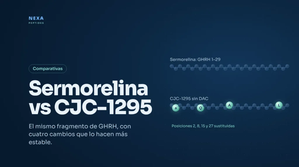 Portada Sermorelina vs CJC-1295: GHRH 1-29 y sus cuatro sustituciones – Nexa Peptides