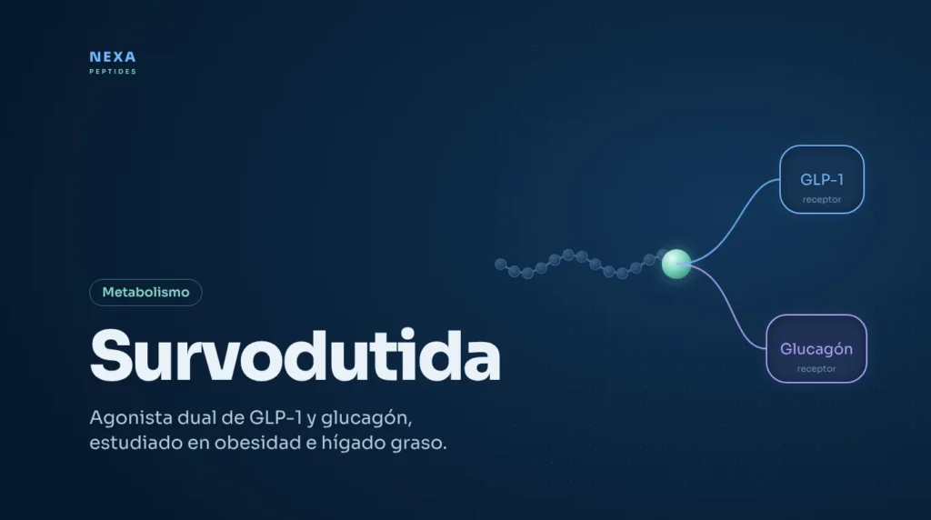 Portada de Survodutida: agonista dual de los receptores GLP-1 y glucagón – Nexa Peptides