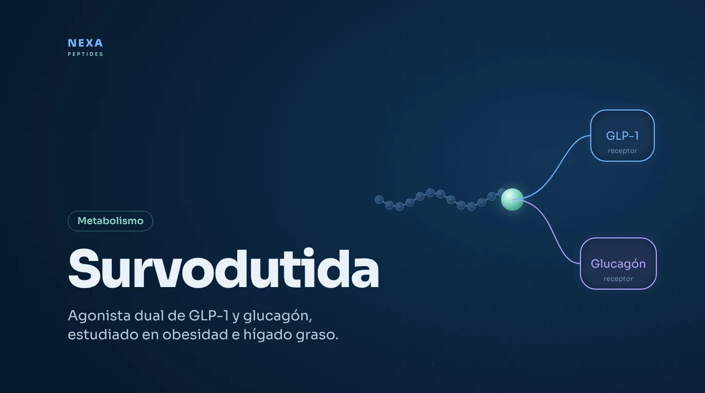 Portada de Survodutida: agonista dual de los receptores GLP-1 y glucagón – Nexa Peptides
