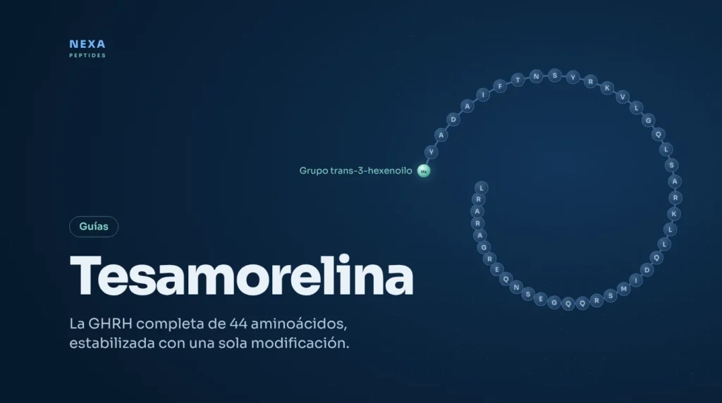 Portada de Tesamorelina: cadena de 44 aminoácidos de GHRH con grupo trans-3-hexenoilo – Nexa Peptides