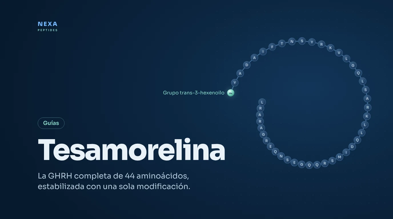 Portada de Tesamorelina: cadena de 44 aminoácidos de GHRH con grupo trans-3-hexenoilo – Nexa Peptides