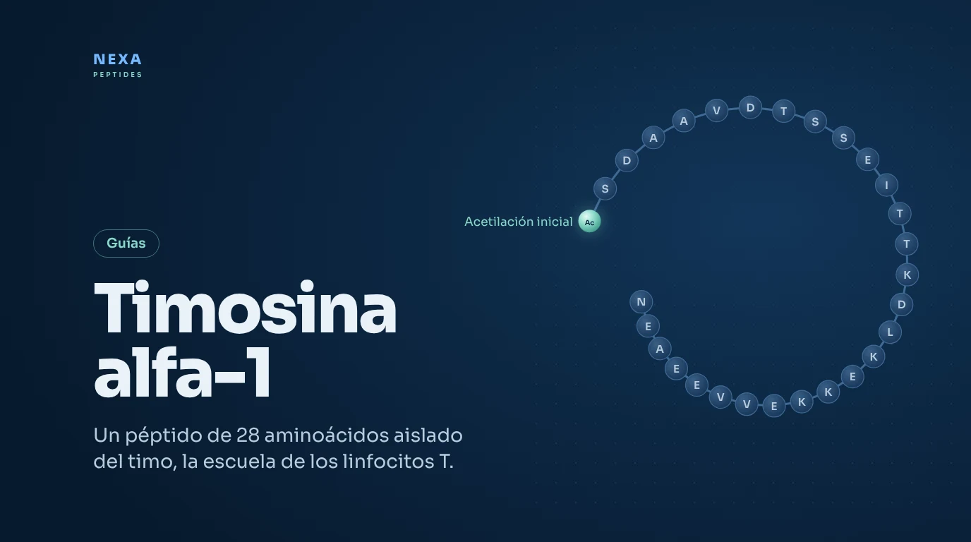 Portada de Timosina alfa-1: secuencia de 28 aminoácidos con acetilación inicial – Nexa Peptides