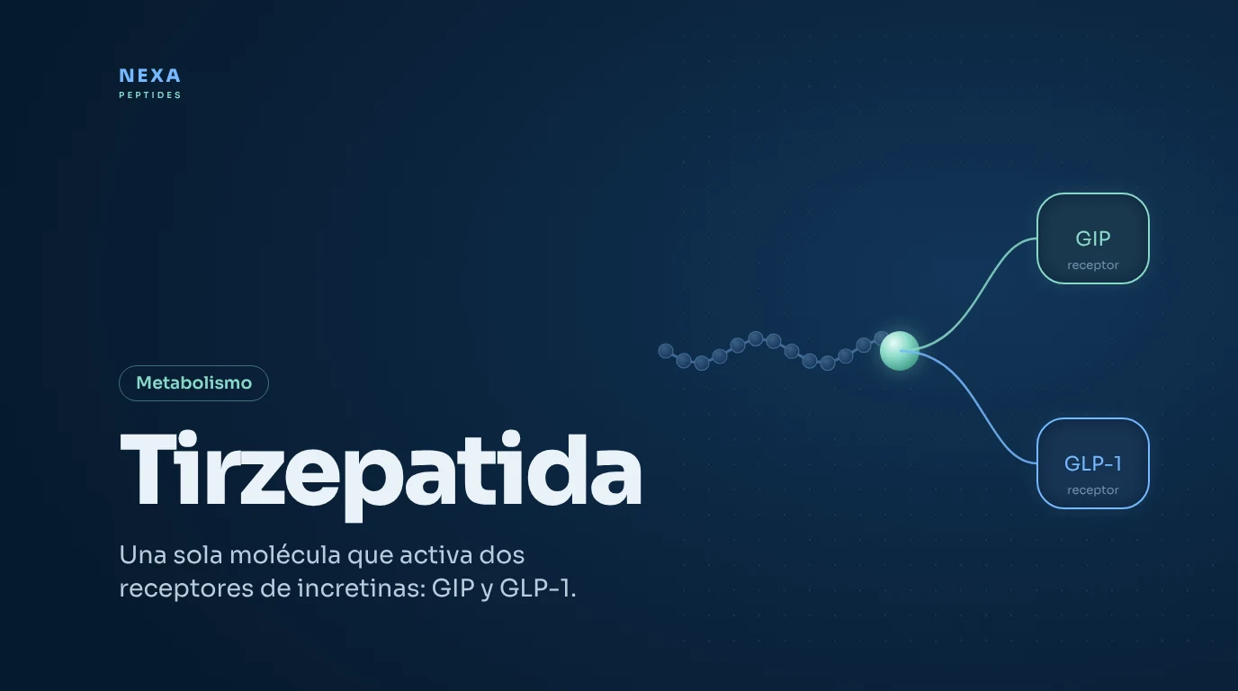 Portada de Tirzepatida: una molécula que activa los receptores GIP y GLP-1 – Nexa Peptides